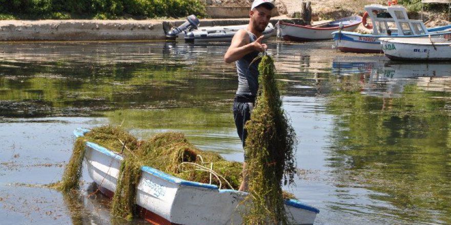 Yeşilada Balıkçı Barınağı Temizlendi