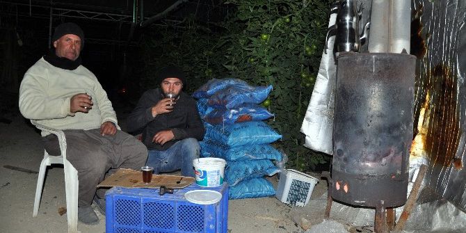 Antalya’da Üreticilerin ‘Don Nöbeti’ Başladı