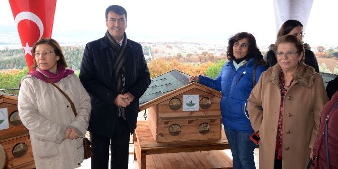 Bursa’da Sokak Kedilerine Dondurucu Soğukta Sıcak Yuva