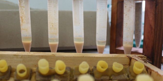 Bu Sütün Kilosu 20 Bin Lira