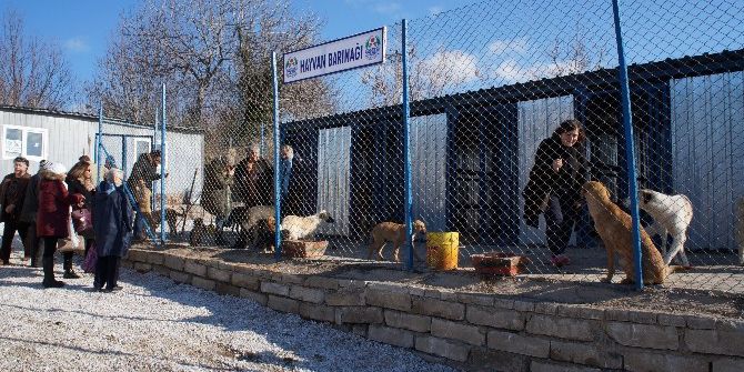 Lapseki Hayvan Barınağı Açıldı