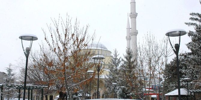 Karla Gelen Güzellik