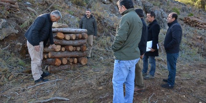 Bölge Müdürü Yılmaz, Bozyazı Orman Arazilerini İnceledi