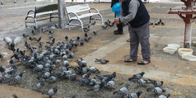 Gaziantep Büyükşehir Belediyesi Sokak Hayvanlarına Sahip Çıkıyor