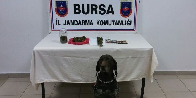 Zehir Tacirine "Roket"li Darbe