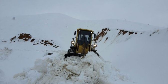 Kar Nedeniyle Kapanan Yollar Ulaşıma Açıldı