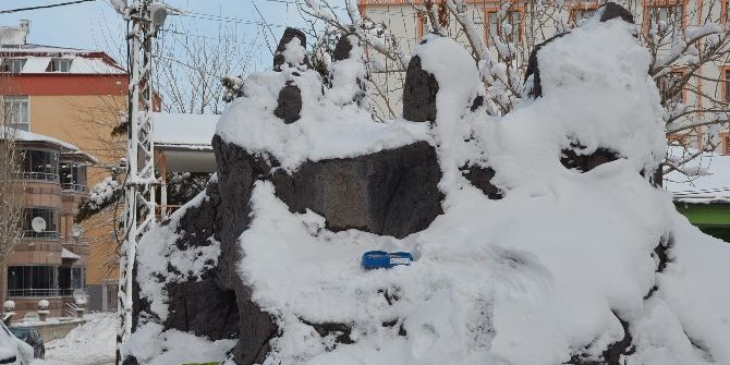 Yaban Hayvanları İçin Doğaya Yem Bırakıldı
