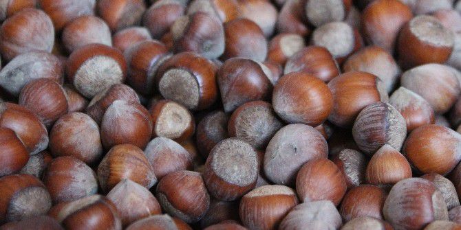 Fındık Fiyatı Yerinde Sayıyor