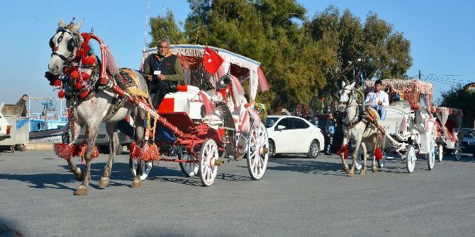 Faytonlara Plaka Uygulaması
