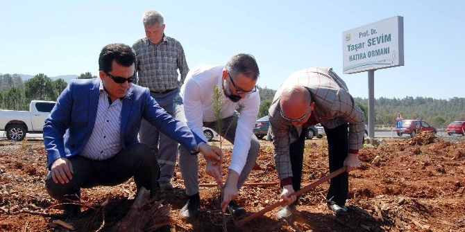Yaşar Sevim’in İsminin Silinmesine Tepki