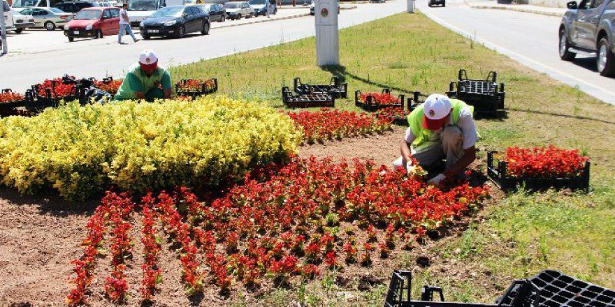 Çankırı’ı Çiçeklerle Donatılıyor