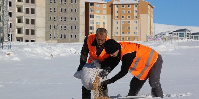 Elazığ’da Kuşlar İçin Doğaya Yem Bırakıldı