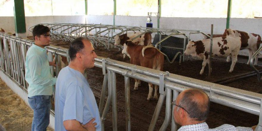 Suni Tohumlama Projesi Çalışmaları Meyvelerini Vermeye Başladı