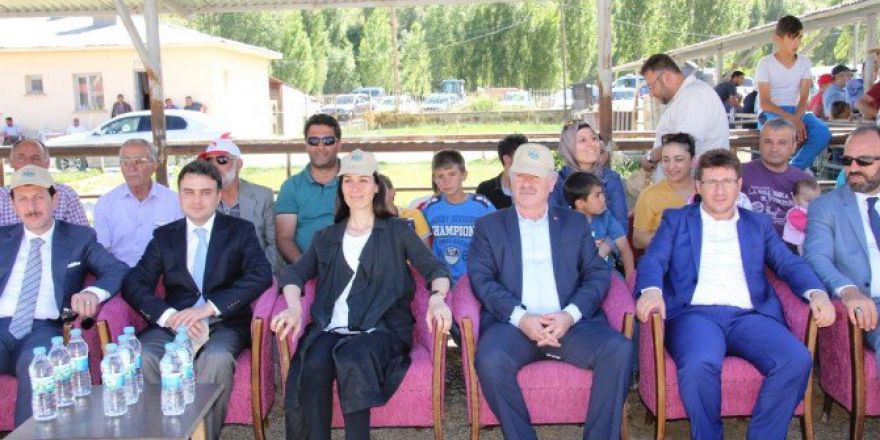 Bayburt’un En Güzel Buzağıları Seçildi