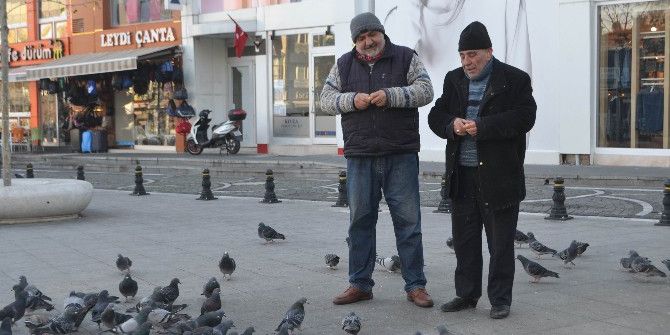 Duyarlı Taksiciler 2 Yıldır Güvercin Besliyor