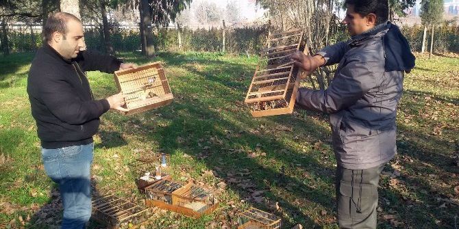Bursa’da Kaçak Avlanan Sakalar Hürriyetlerine Kavuştu