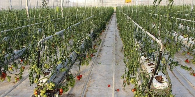 Fırtına Seraları Vurdu