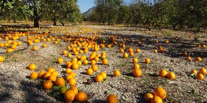 Mersin’de Şiddetli Fırtına Bin 500 Dönüm Arazide Zarara Yol Açtı