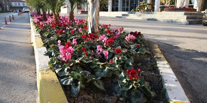 Urla’nın Sokaklarına Renkli Dokunuş