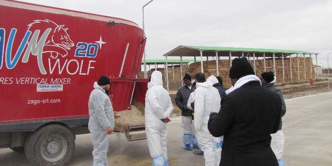 Burundi’de Hayvancılık Tika İle Canlanıyor