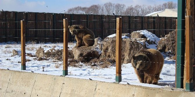 Anadolu Harikalar Diyarı’ndaki Hayvanlara Özel Isıtma