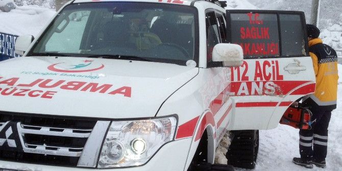 Hamile Kadın Paletli Ambulansla Hastaneye Ulaştırıldı