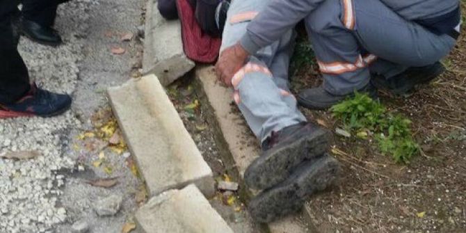 Belediye Çalışanını Sokak Ortasında Sırtından Bıçakladılar