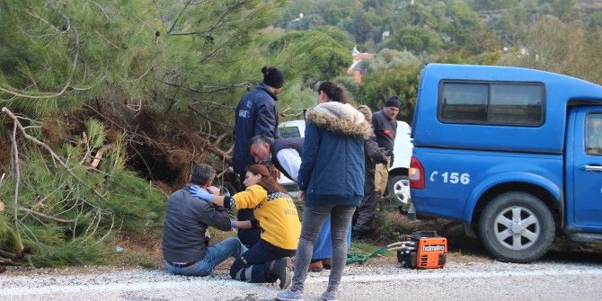 Aracı Ağaçların Arasına Saplandı, 2 Saat Kurtarılmayı Bekledi