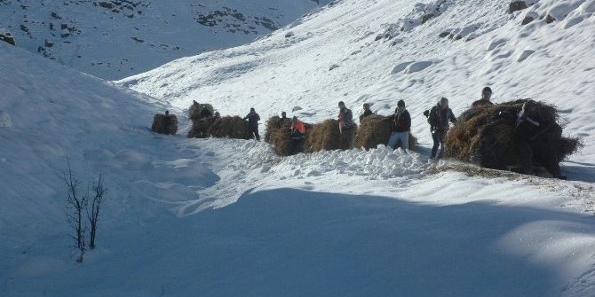 Hakkari’nin Karlı Dağlarında Ot Taşıma Çilesi Başladı