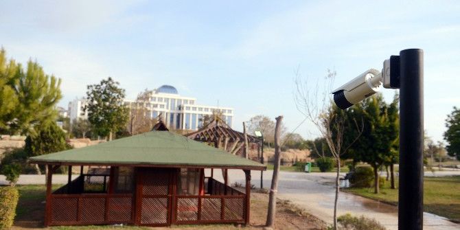 Antalya’da Kedi Ölümlerine Kameralı Önlem