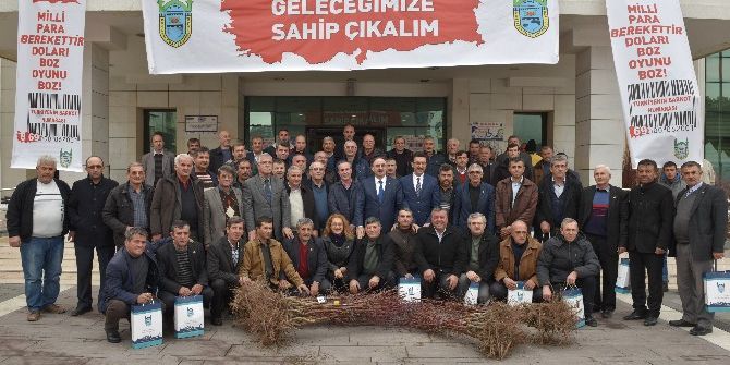 Çiftçilere Badem Fidanı Dağıtıldı