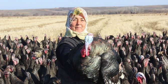 Hindiler, “Hayrabolulu Hindici Teyze”den