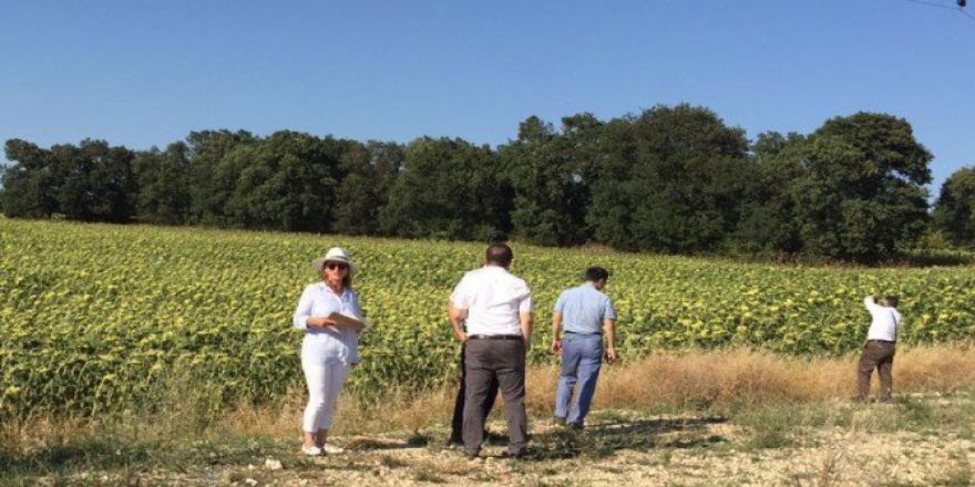 Keşan’da Keşif Ve Bilirkişi İncelemesi