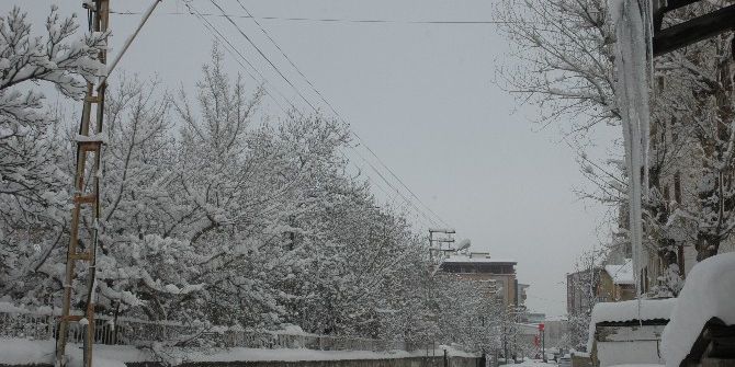 Van’da Dondurucu Soğuklar