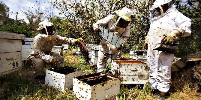 Karşıyaka’dan ’Bal’ Gibi Proje
