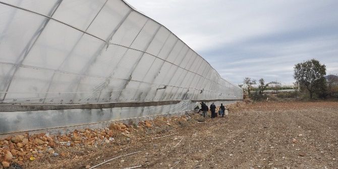 Antalyalı Üretici Yaralarını Sarmak İçin Devletten Destek Bekliyor
