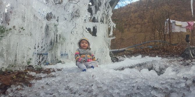 Beytüşşebap’ta Buz Tutan Ağaçlar Kartpostallık Görüntü Oluşturdu