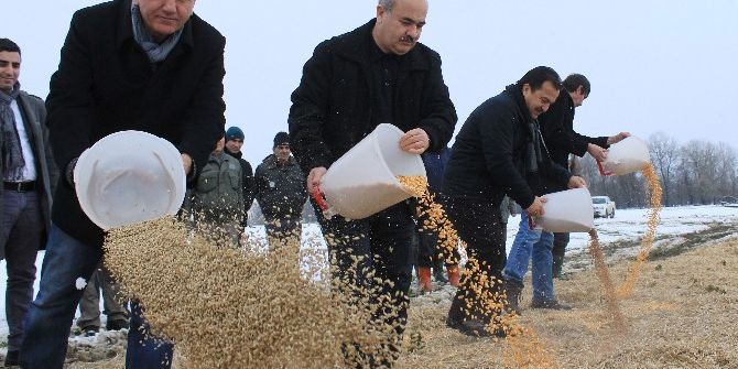 Yaban Hayvanları Kara Rağmen Aç Kalmadı