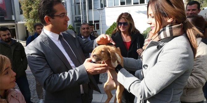 Engelli Sokak Hayvanlarını Sahiplendiler