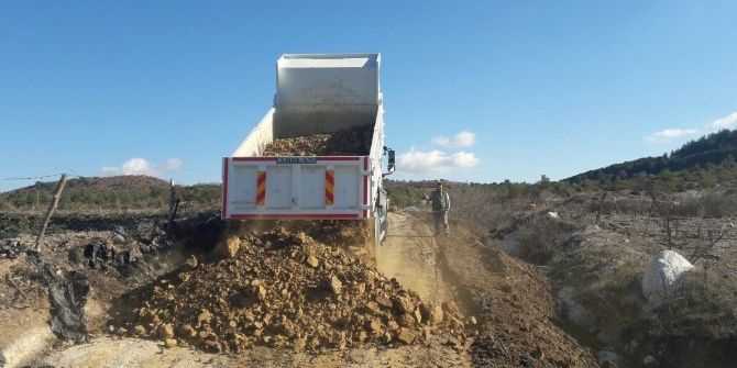 Fosil Ağaç Alanının Yolları Düzenlendi