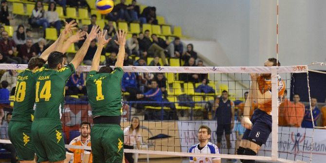 Voleybol Efeler Ligi