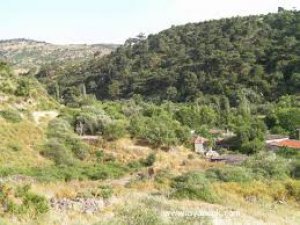 Çanakkale Babadere Köyü