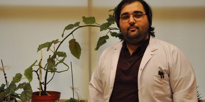 Organik Işık Yayan Bitkiler Sokakları Aydınlatacak