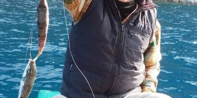 Balon Balığı Balıkçıları Bıktırdı
