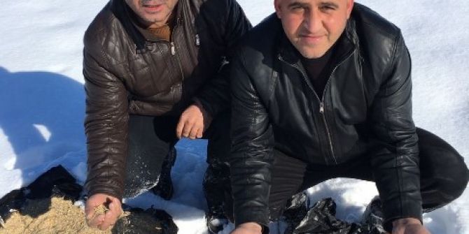 Malazgirt’te Yaban Hayvanları İçin Doğaya Yem Bırakıldı