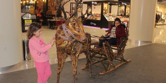 Ağaç Köklerinden 300 Eser Yaptı