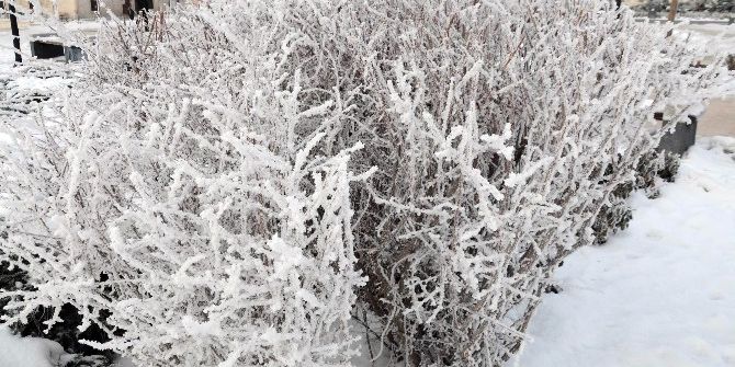 Sivas Eksi 24 Derecede Dondu