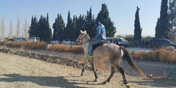 Söke’de Geleneksel Rahvan At Yarışları Yapıldı