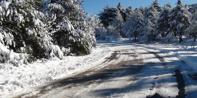 Kapanan Yayla Yolları Açıldı
