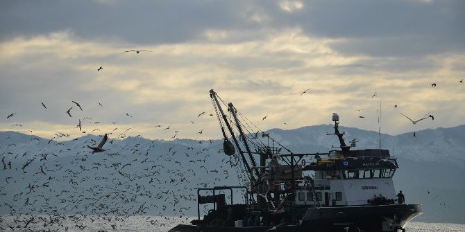 Ordulu Balıkçılar Batı Karadeniz’de Avlanıyor